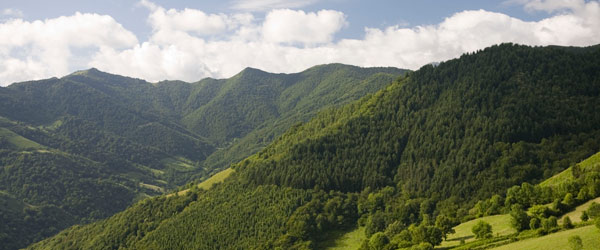Valle de Lena en Asturias © Turespaña
